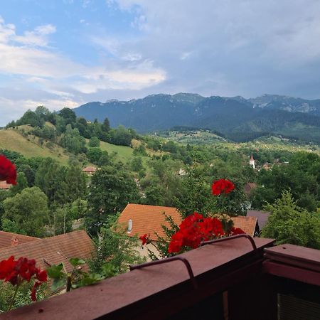 Vila Muntii Bucegi & Spa Бран Екстериор снимка