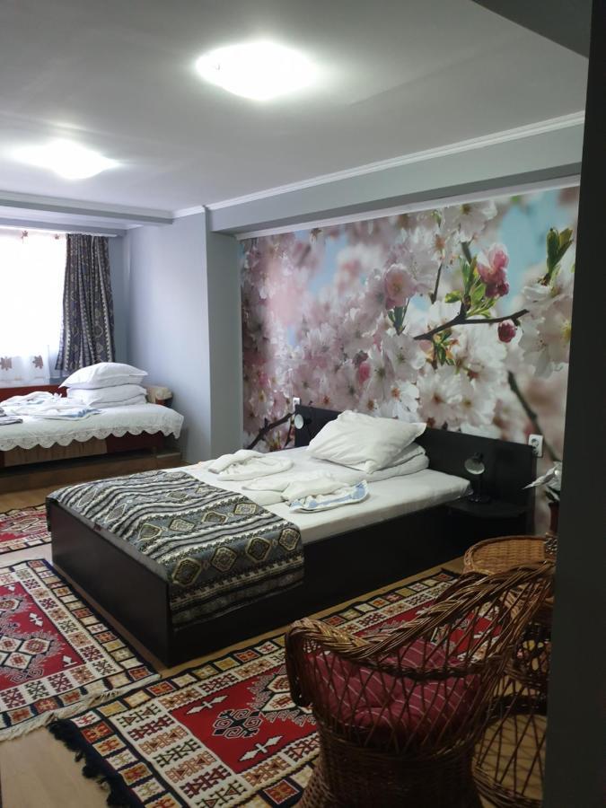 Vila Muntii Bucegi & Spa Бран Екстериор снимка