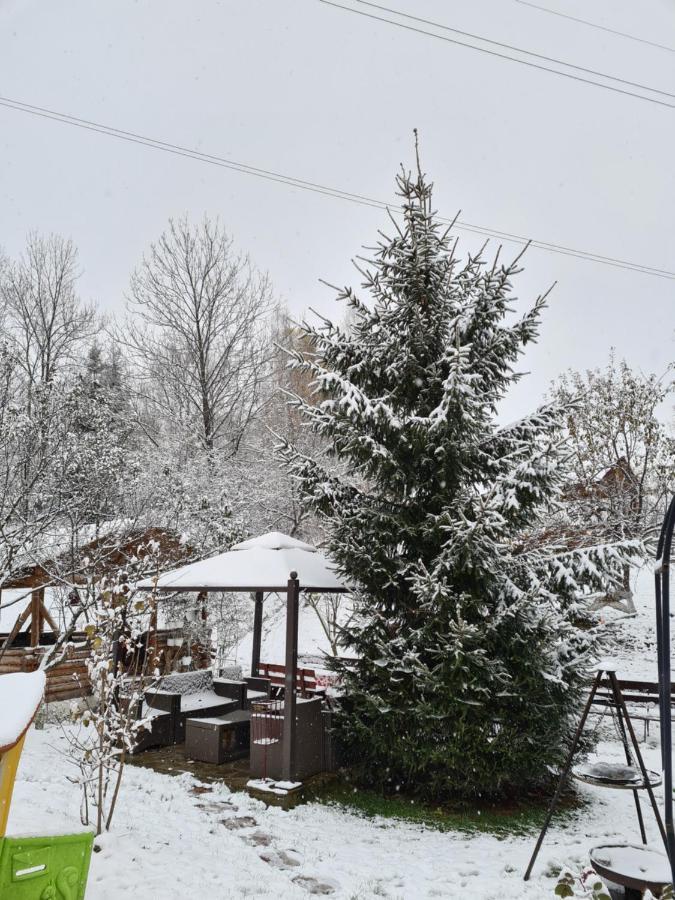 Vila Muntii Bucegi & Spa Бран Екстериор снимка