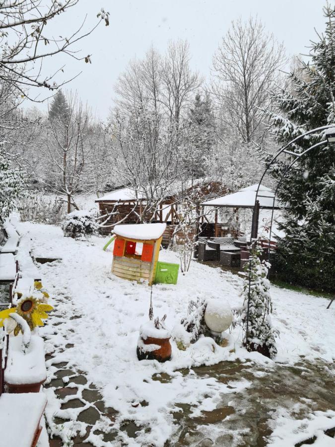 Vila Muntii Bucegi & Spa Бран Екстериор снимка