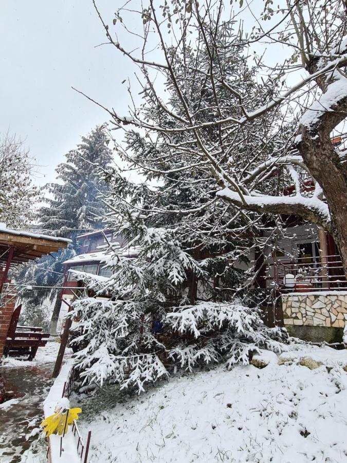 Vila Muntii Bucegi & Spa Бран Екстериор снимка
