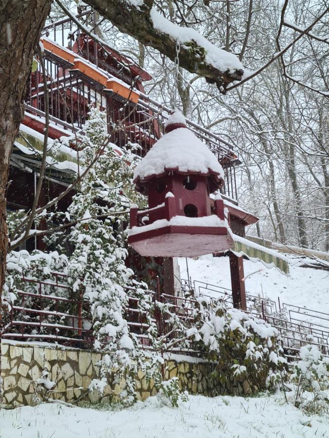 Vila Muntii Bucegi & Spa Бран Екстериор снимка
