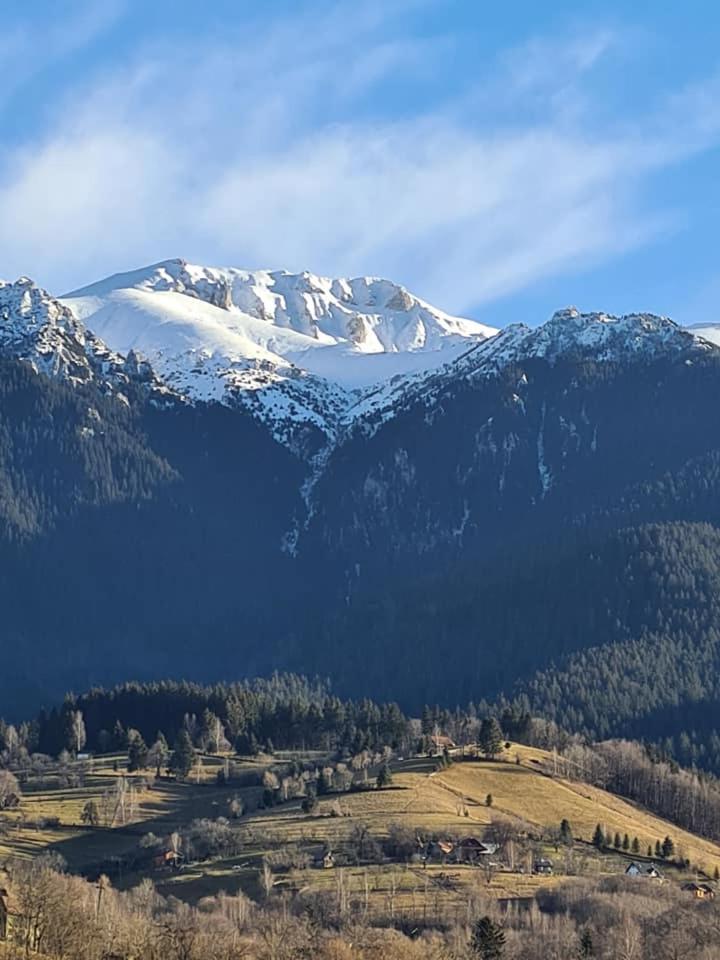 Vila Muntii Bucegi & Spa Бран Екстериор снимка